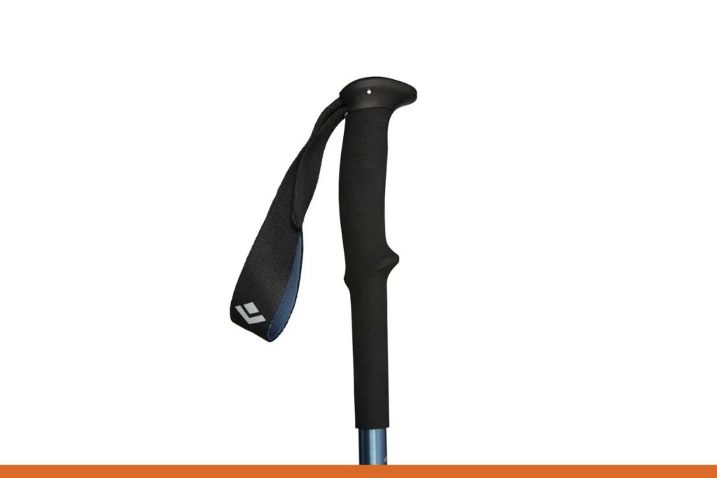 Black Diamond Trail dragon